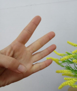 数字四的手势符号怎么表示