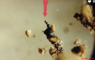 土壤发现带有磁性，在显微镜下可以看到有10-40毫米的磁珠被吸住